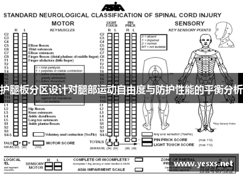 护腿板分区设计对腿部运动自由度与防护性能的平衡分析