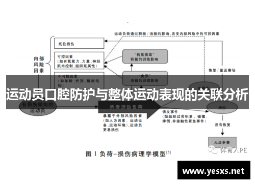 运动员口腔防护与整体运动表现的关联分析