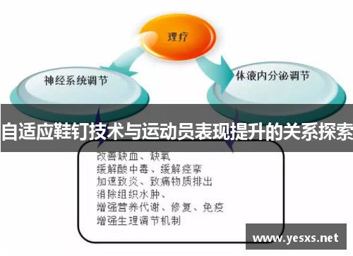 自适应鞋钉技术与运动员表现提升的关系探索